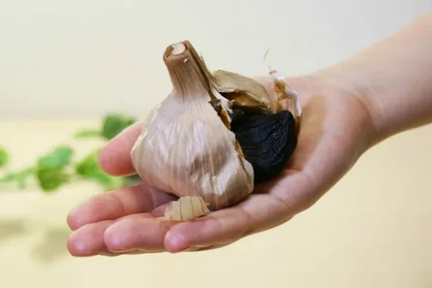 حبه سیر سیاه ژاپنی با ماندگاری طولانی و بسته‌ بندی حرفه‌ ای